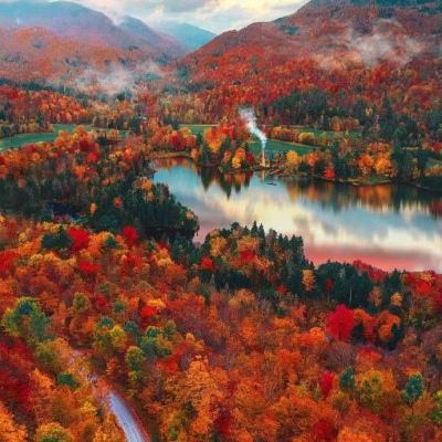 狗万manbet手机app下载