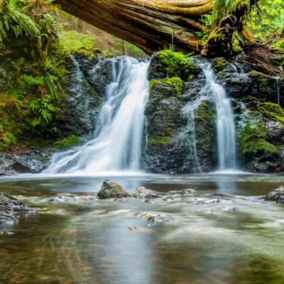 海星体育app下载