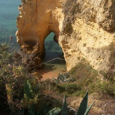 星空体育官方网站下载手机版截图