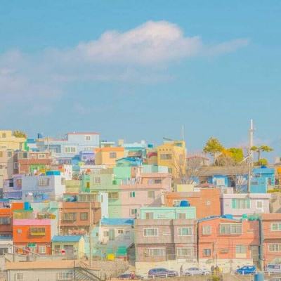 华体会登录手机版app下载截图